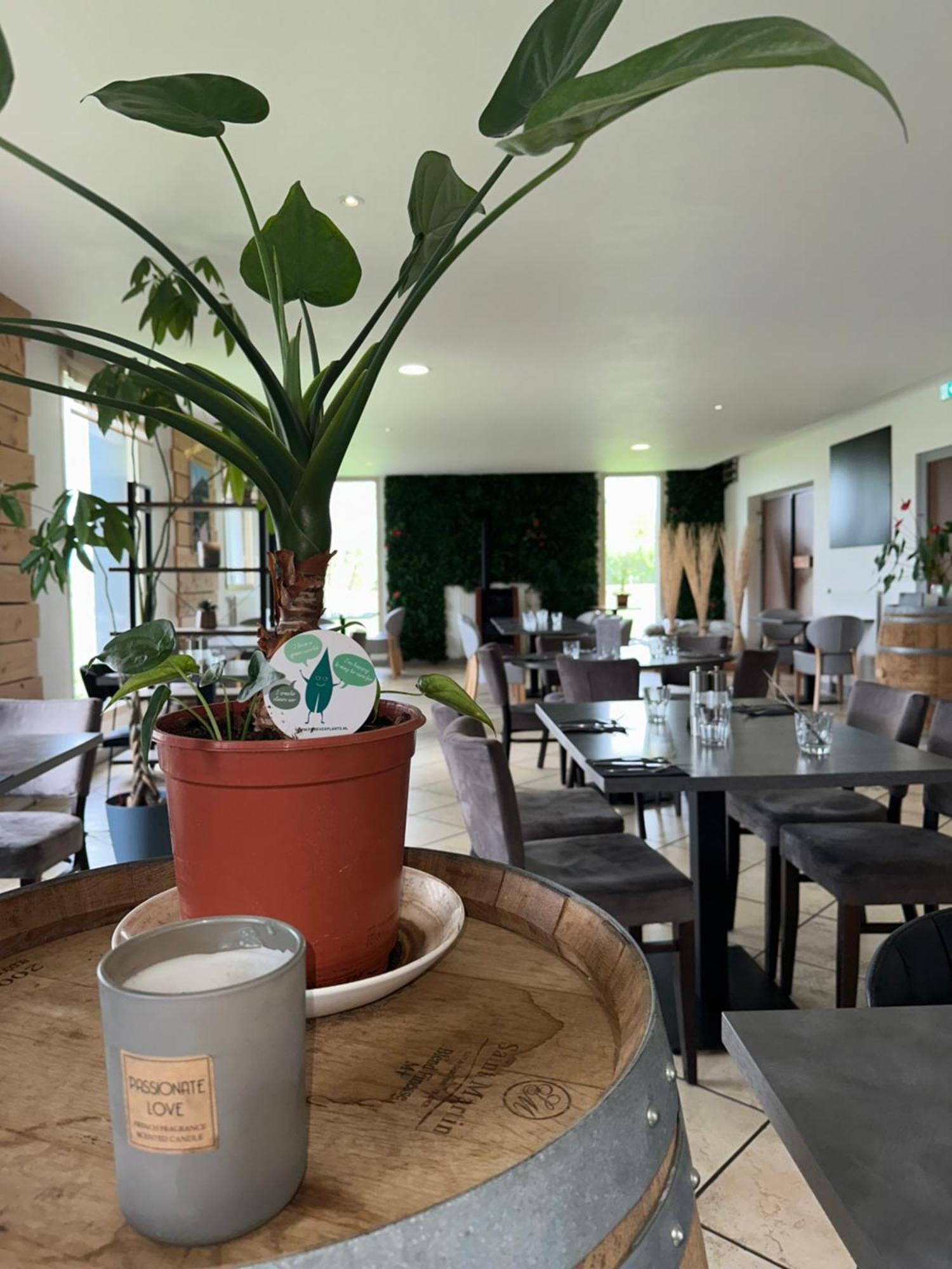 Logis Hotel Volcan Sancy Nébouzat Екстериор снимка